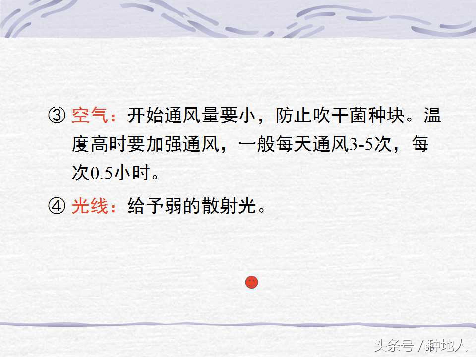 香菇栽培实用技术教案,屋顶香菇栽培