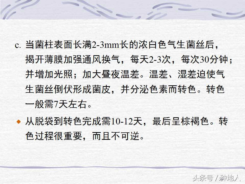 香菇栽培实用技术教案,屋顶香菇栽培