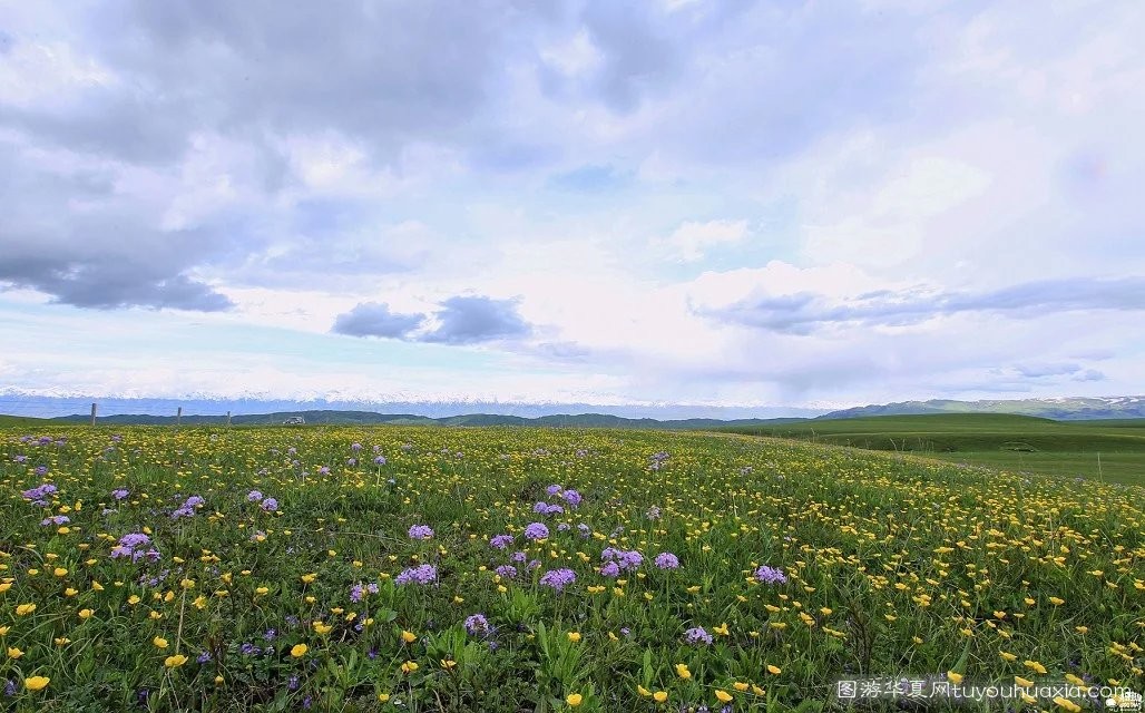 14张照片那拉提草原风景区 (美丽的那拉提草原真实图片)