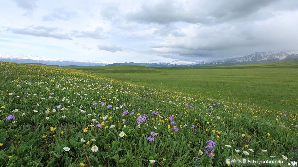 14张照片那拉提草原风景区 (美丽的那拉提草原真实图片)