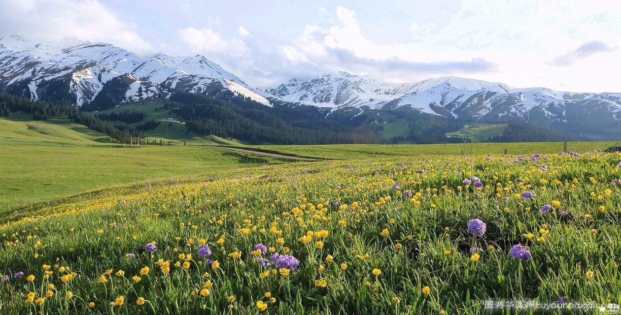 14张照片那拉提草原风景区 (美丽的那拉提草原真实图片)