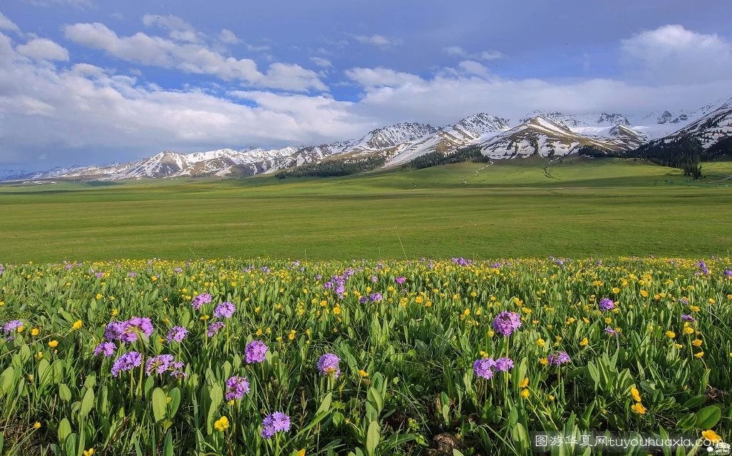 14张照片那拉提草原风景区 (美丽的那拉提草原真实图片)