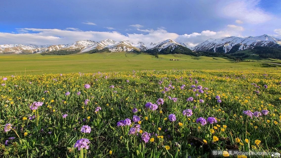 14张照片那拉提草原风景区 (美丽的那拉提草原真实图片)