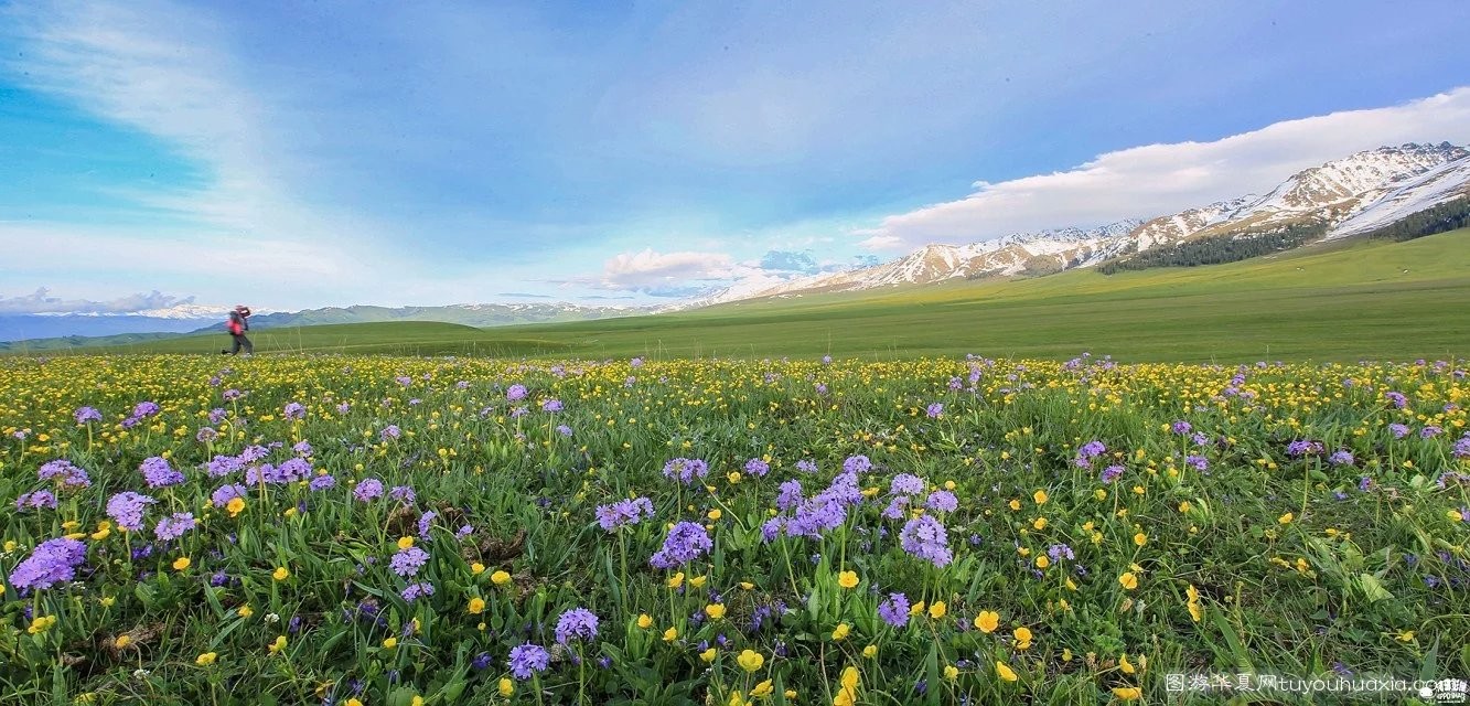14张照片那拉提草原风景区 (美丽的那拉提草原真实图片)