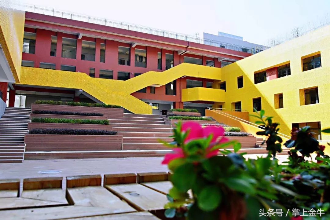 再见茶小，你好新校区！