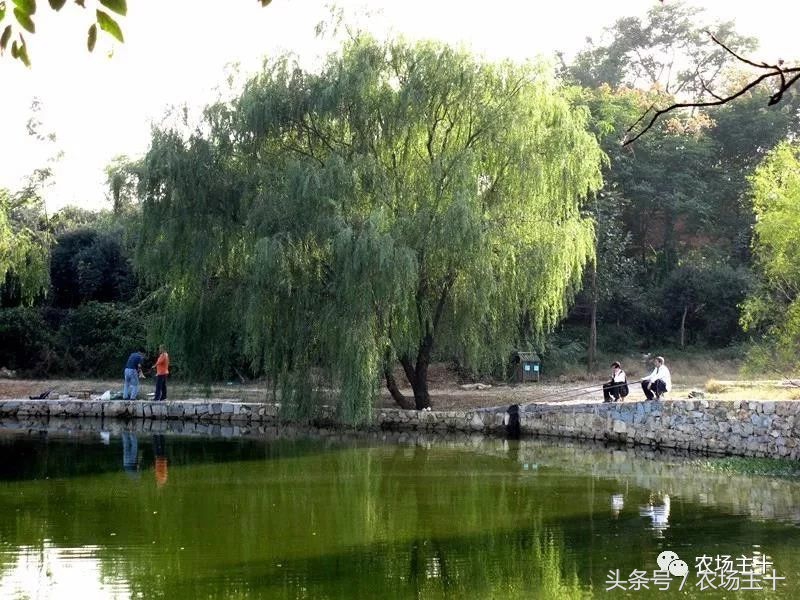 休闲农庄7大盈利模式,休闲农庄有什么前景吗