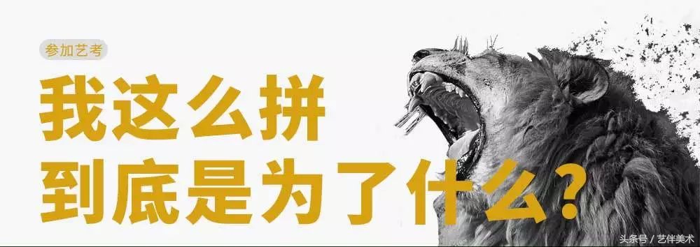 栾树画室口碑怎样,栾树画室地址在哪里