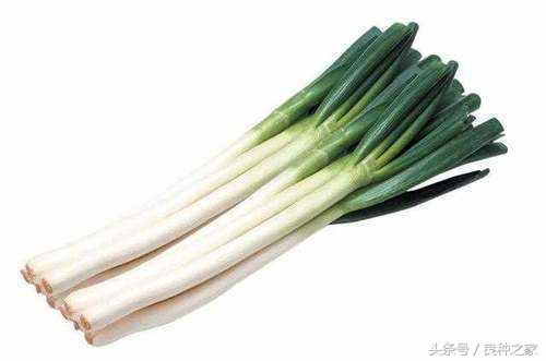 餐桌上常见的本土作物是什么,10种常见的粮食作物