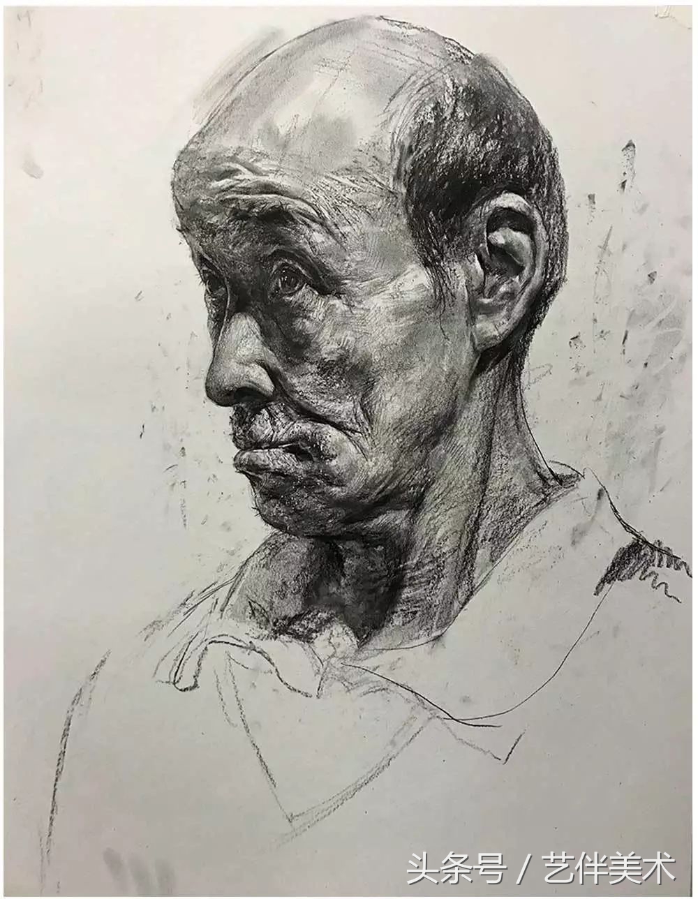 栾树画室——2020届招生简章北京必看画室之一