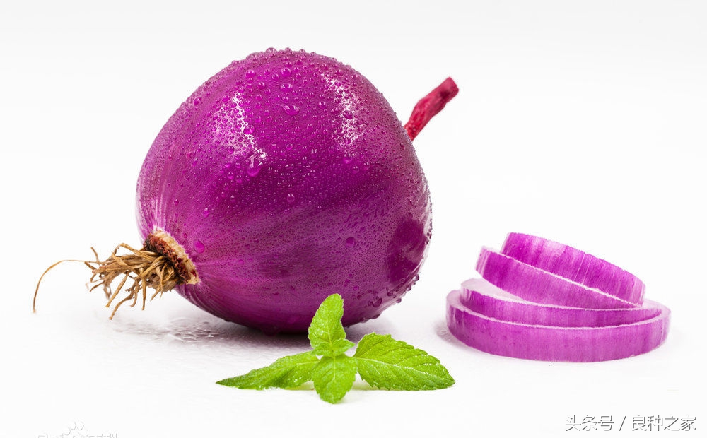 餐桌上常见的本土作物是什么,10种常见的粮食作物