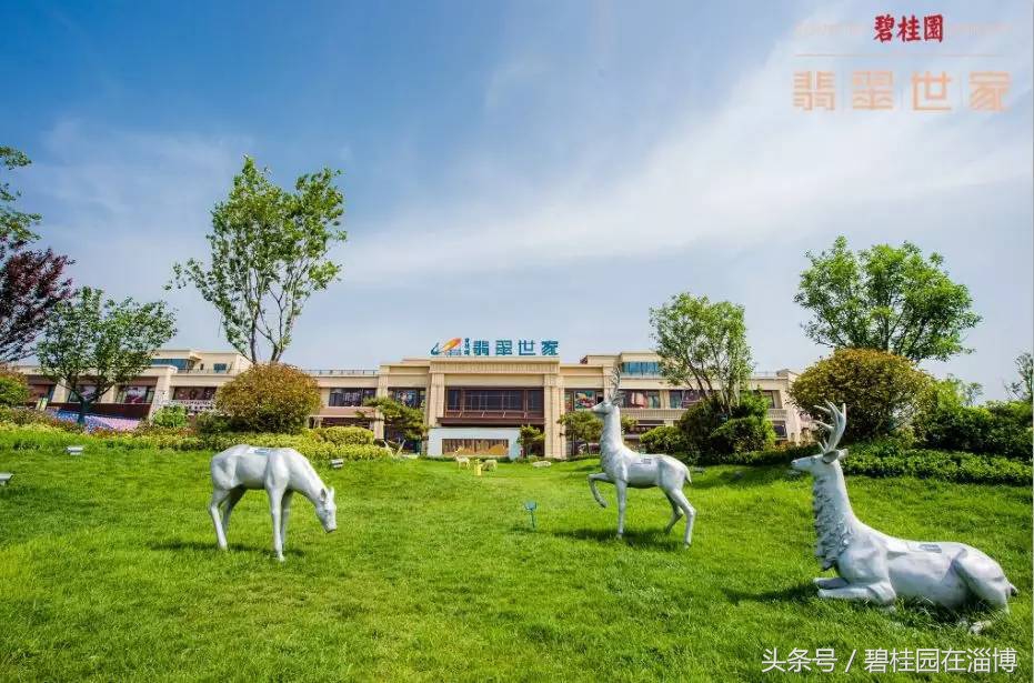 碧桂园翡翠世家别墅,淄博碧桂园翡翠世家