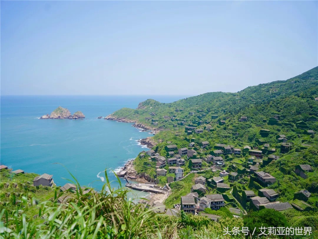 生活不止杯中的枸杞还有诗和远方 (生活不止有诗和远方 还有枸杞)