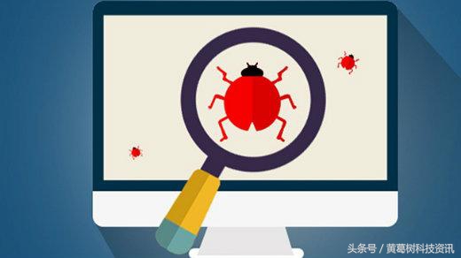 网络安全高危漏洞,网络病毒与网络安全