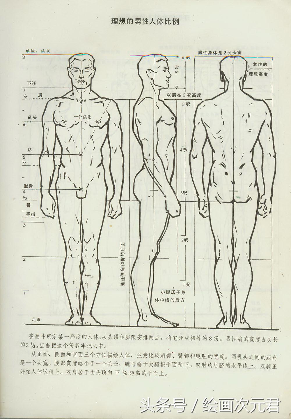 人体结构怎么画?教你如何绘画人体动态的技巧!
