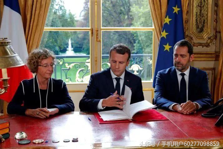 娌逛环澶珮寮曡捣鍏劋浜嬩欢,鍥犻珮鍙嶆浜＄殑鏂伴椈