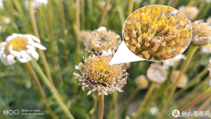 vivoz5x全面详细评测,vivoz5x挖孔屏视频