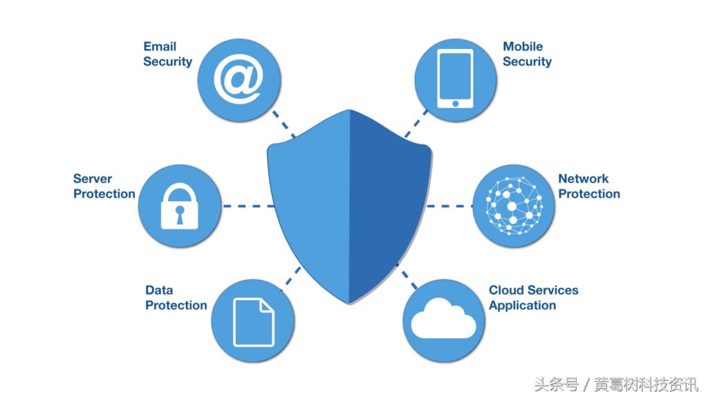 网络安全高危漏洞,网络病毒与网络安全