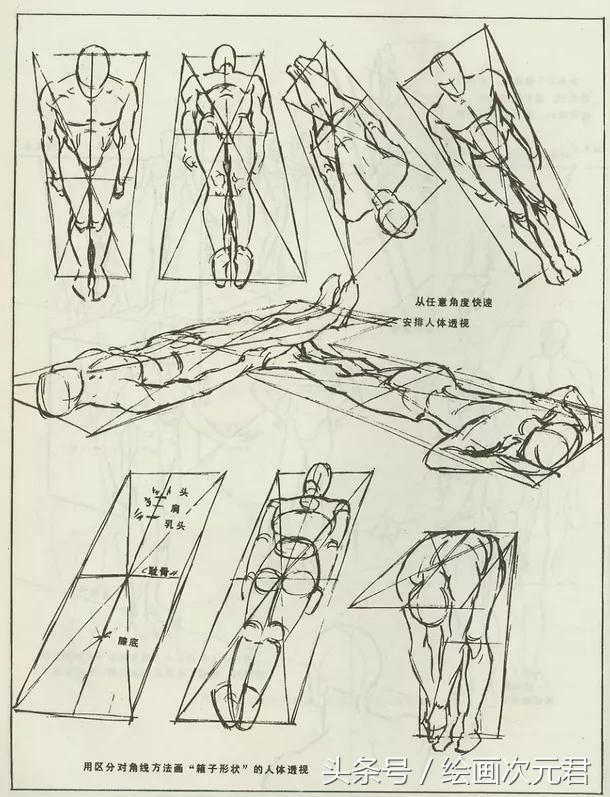 人体结构动态,动态素描·人体结构