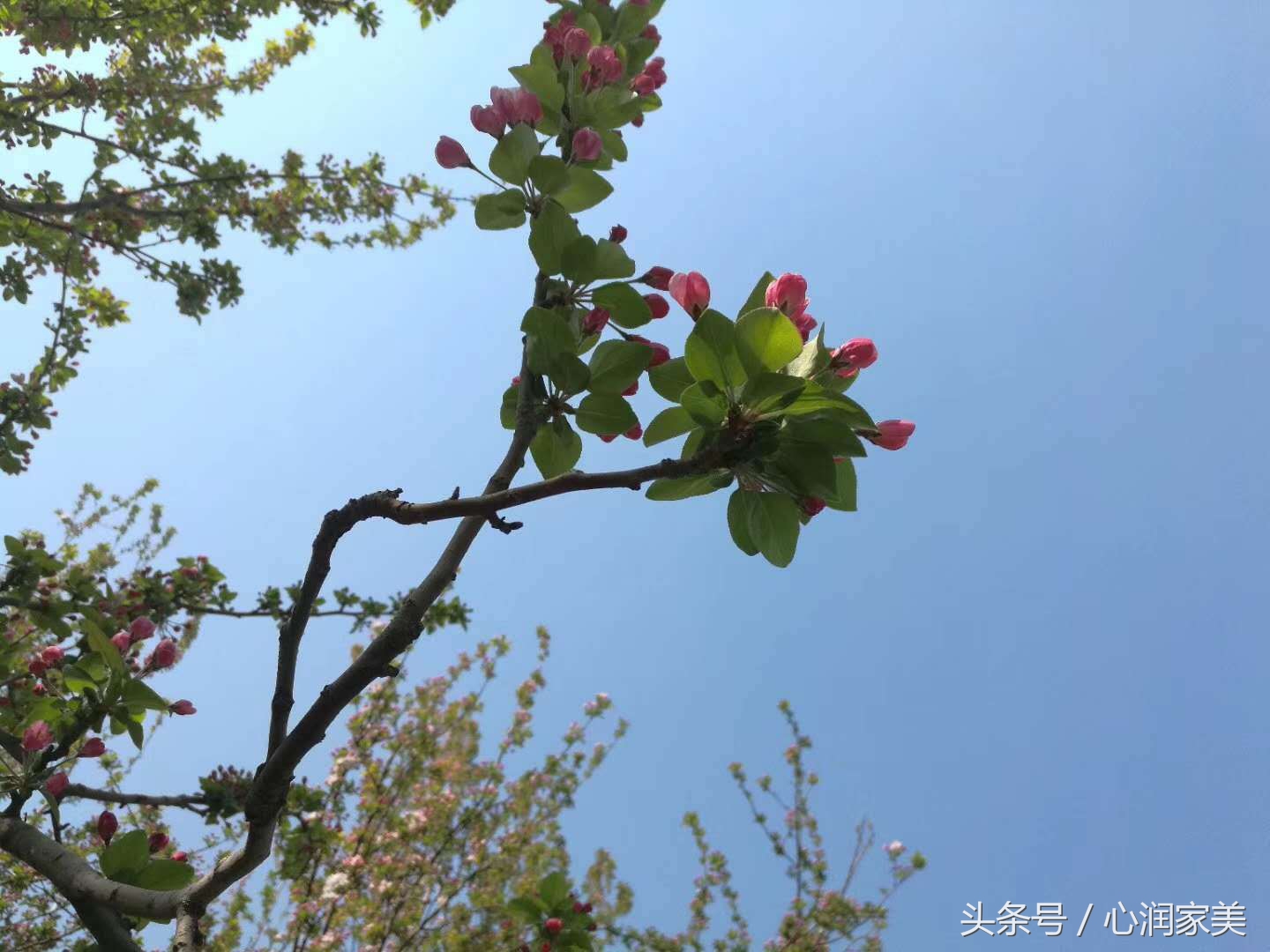 心理咨询求助方式有哪些,心理咨询求助简短对话