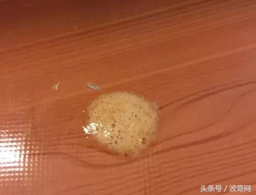 猫咪呕吐怎么判断是猫粮的问题,猫咪呕吐如何确定是猫粮问题