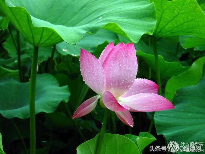 配眼镜搜什么关键词,配眼镜必须知道哪些数据