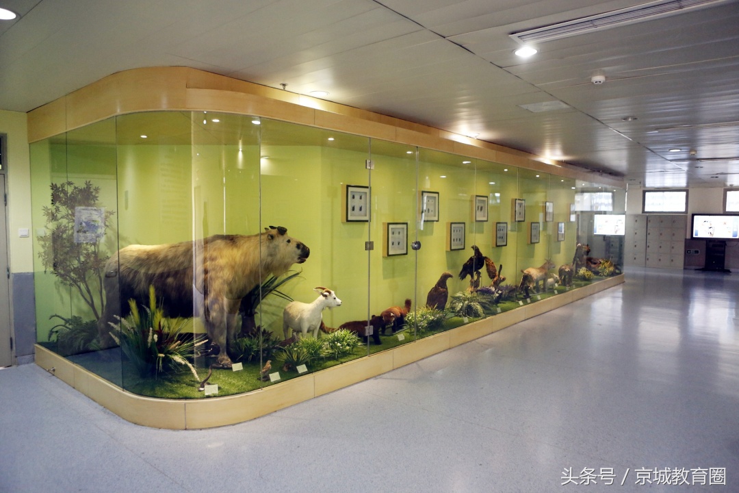 首师大附中学生考首师大好考吗,如何报考师大附中