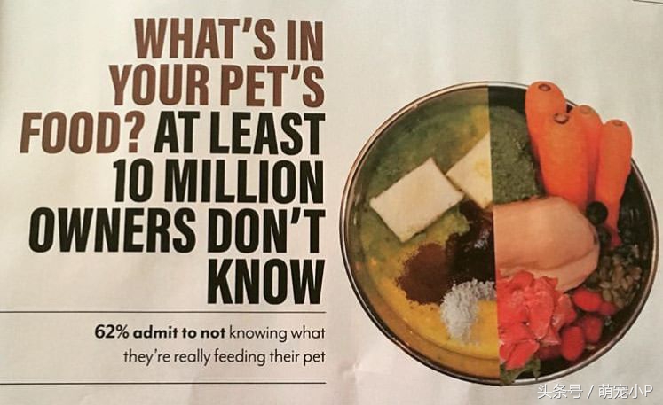 宠物粮配方对比表,10分钟了解宠粮