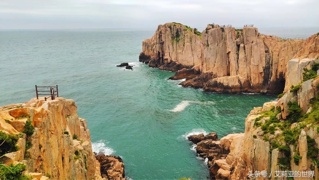 生活不止杯中的枸杞还有诗和远方 (生活不止有诗和远方 还有枸杞)