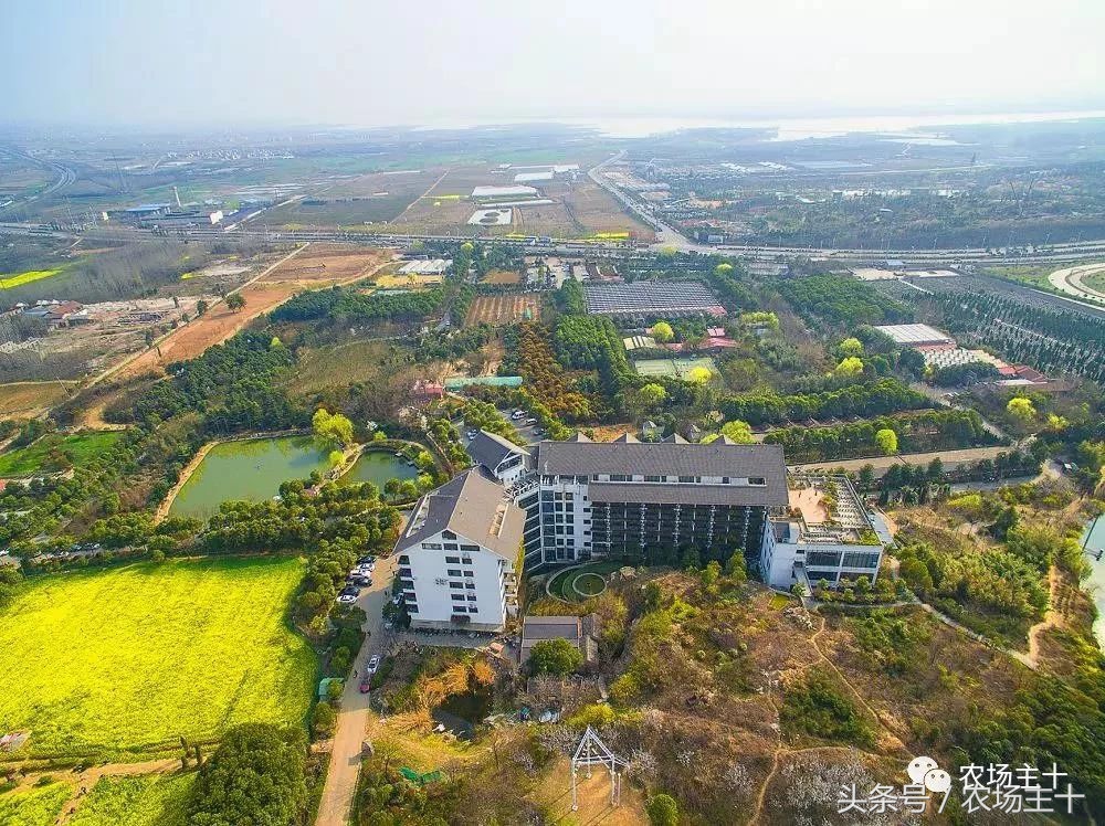 休闲农庄7大盈利模式,休闲农庄有什么前景吗