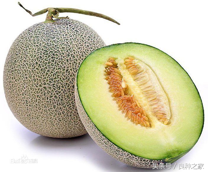 餐桌上常见的本土作物是什么,10种常见的粮食作物