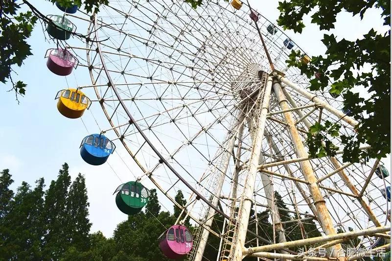 老合肥杏花公园,合肥曾经有两个杏花公园