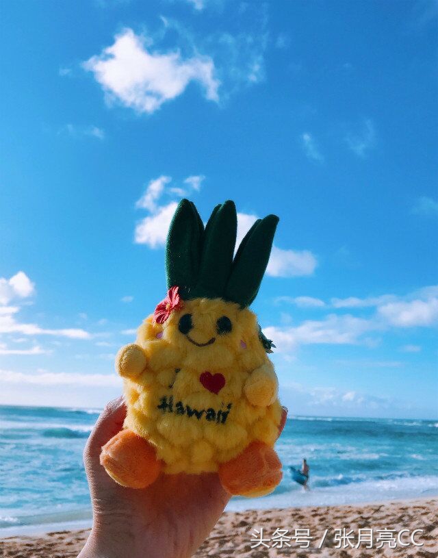 愿你所有的期待都能如期而来,愿你的希望都得偿所愿