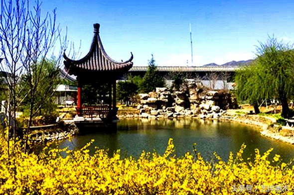 北京画室排行榜前十名,北京上美苑画室口碑怎么样