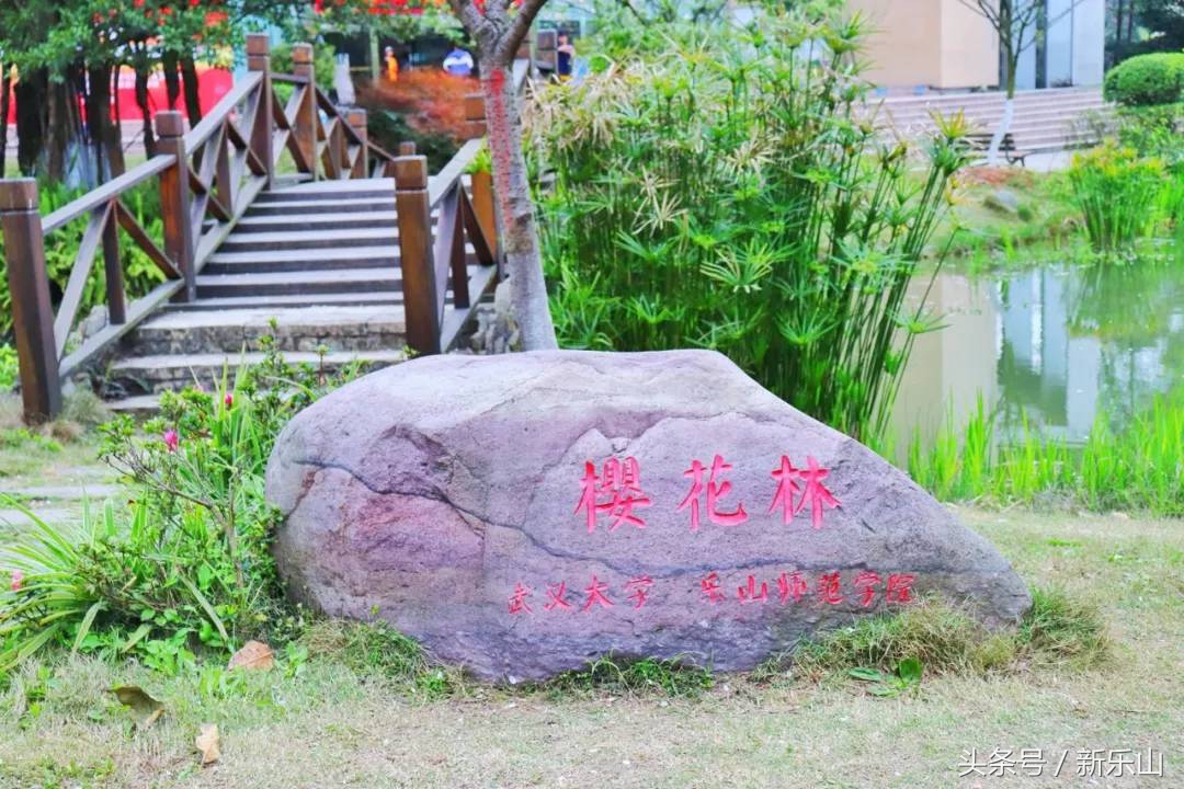 四川乐山最美的春天,乐山的春天有多美