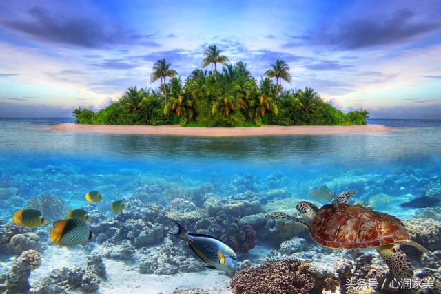 心理咨询求助方式有哪些,心理咨询求助简短对话