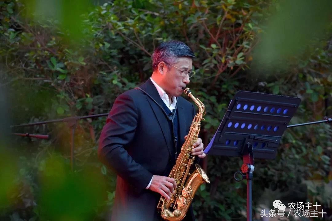 休闲农庄7大盈利模式,休闲农庄有什么前景吗