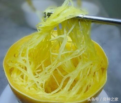 餐桌上常见的本土作物是什么,10种常见的粮食作物