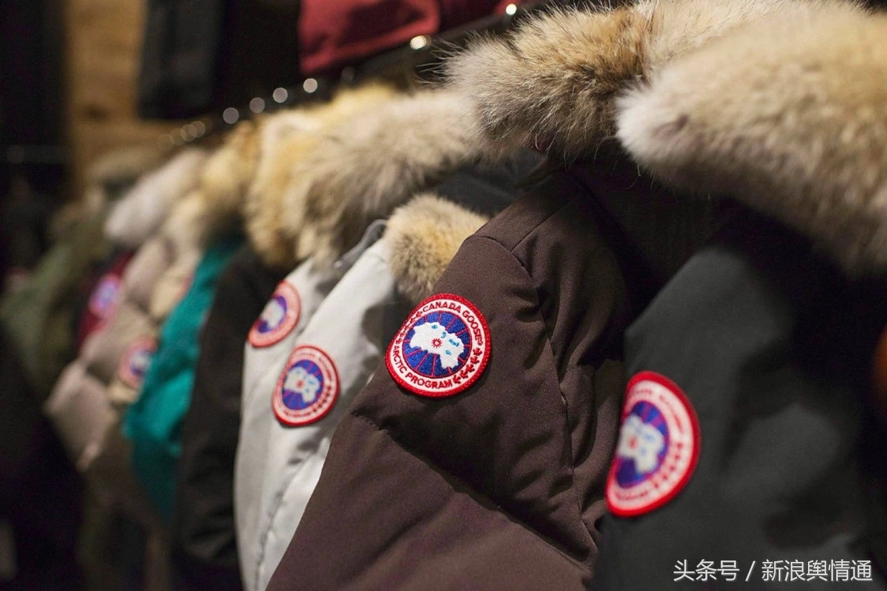 最具性价比的加拿大鹅是哪款,加拿大鹅最经典款