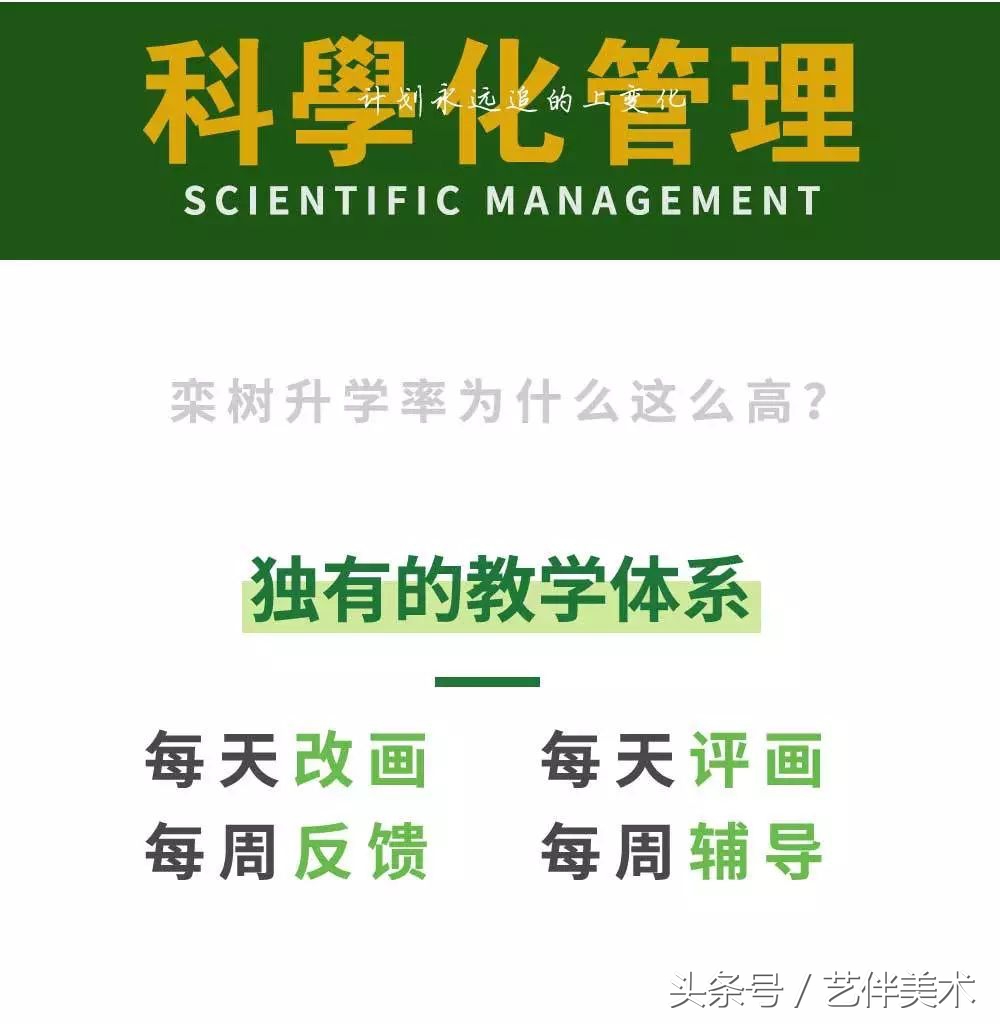 栾树画室口碑怎样,栾树画室地址在哪里