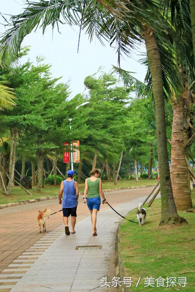 一个人的旅行海南攻略,一次难忘的海口旅游