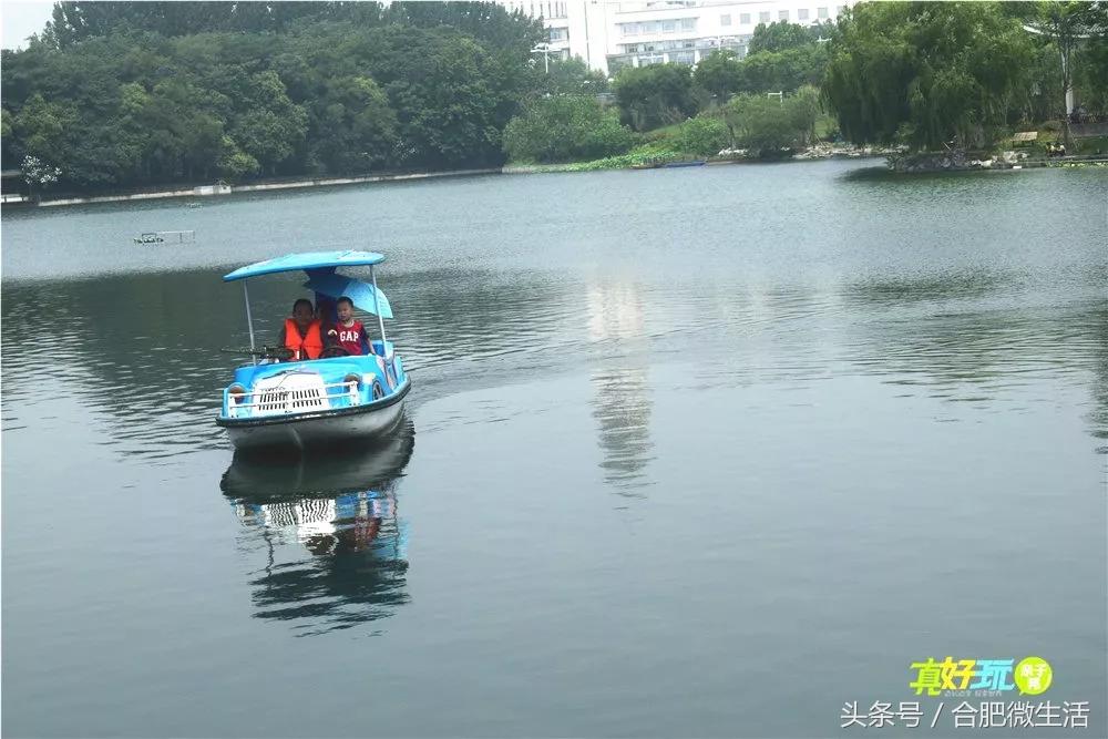 老合肥杏花公园,合肥曾经有两个杏花公园