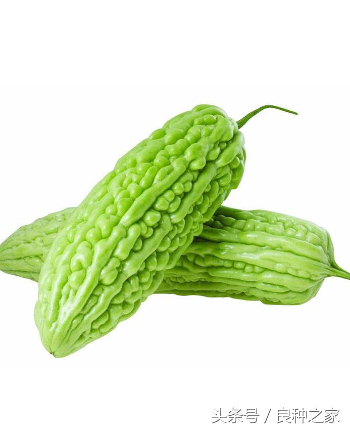 餐桌上常见的本土作物是什么,10种常见的粮食作物