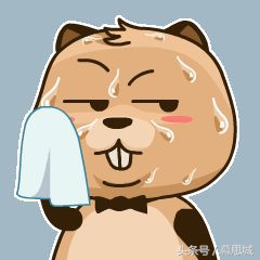 五一假期必买清单,五一特别早会买什么