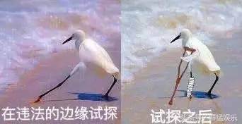 赵本山徒弟胖丫制售假药获刑3年,赵本山胖徒弟卖假药