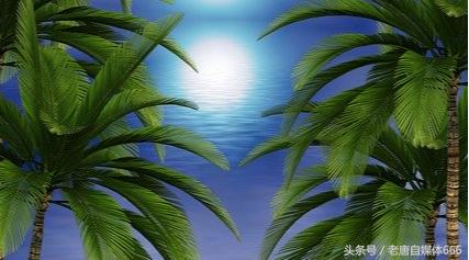 怎么评价孙少安和孙少平,如何评价孙少安