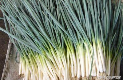 餐桌上常见的本土作物是什么,10种常见的粮食作物