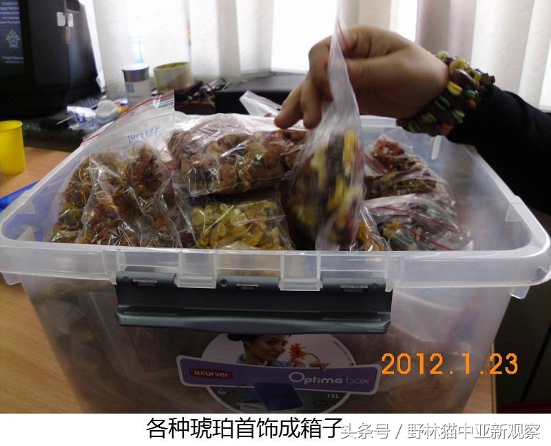 野林猫之-俄罗斯琥珀之都探秘