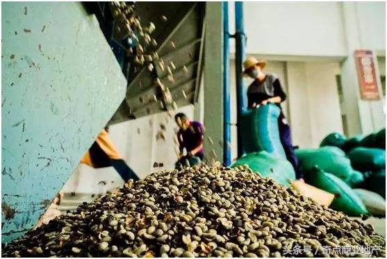 拼多多肉搏星巴克,金拱门又陷“鸡毛门”奇扒说0424