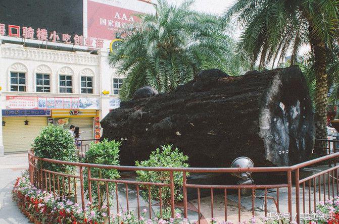 海口一座充满回忆的城市,海口的城市记忆