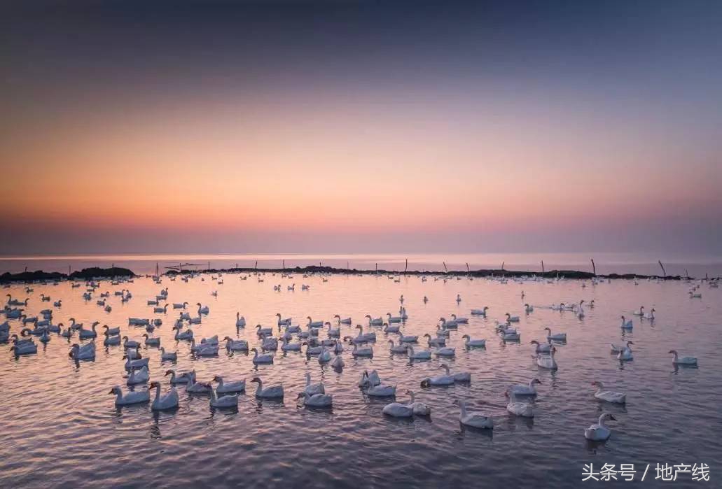 鍝佸懗鐢熸椿涓殑浼犵粺鏂囧寲鎰熸偀,鍝佸懗鐢熸椿鎰熸偀浜虹敓鍝茬悊